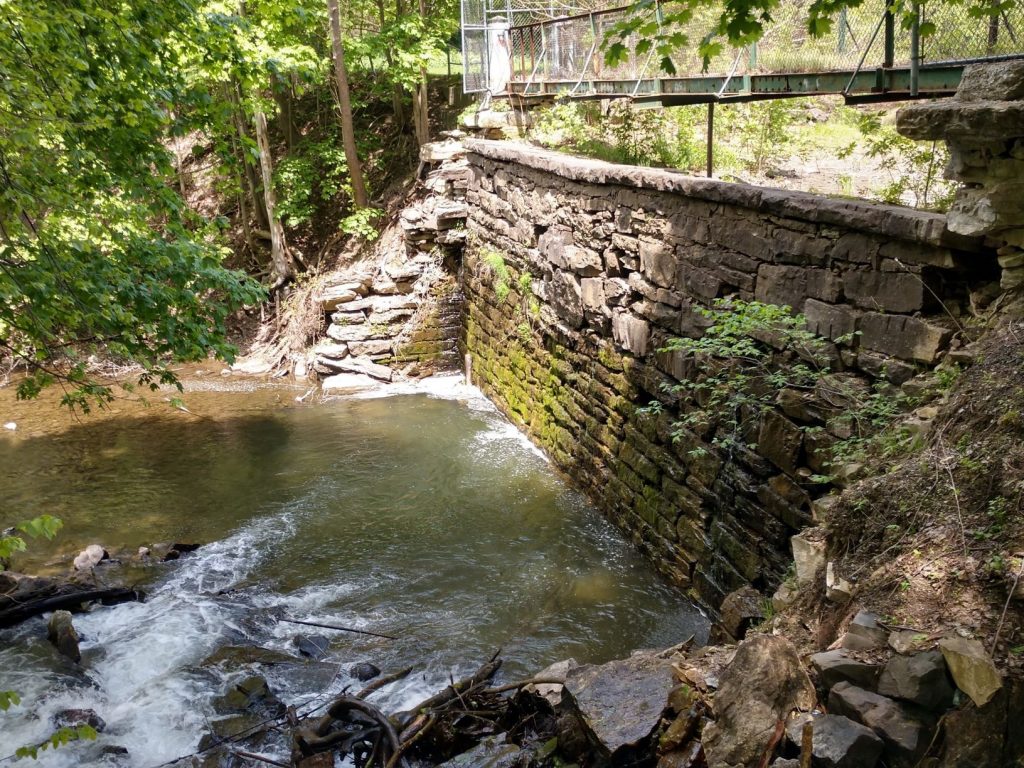 View of the downstream face from the left abutment