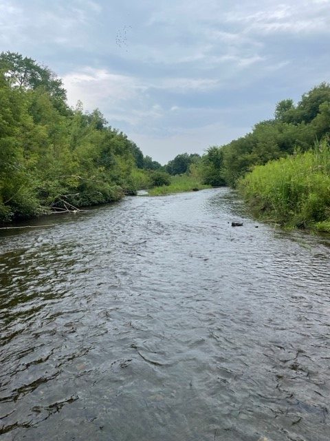 View of the Bel Air impoundment