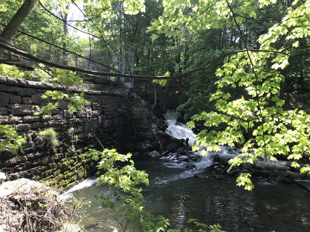 View of the primary spillway from the downstream right abutment